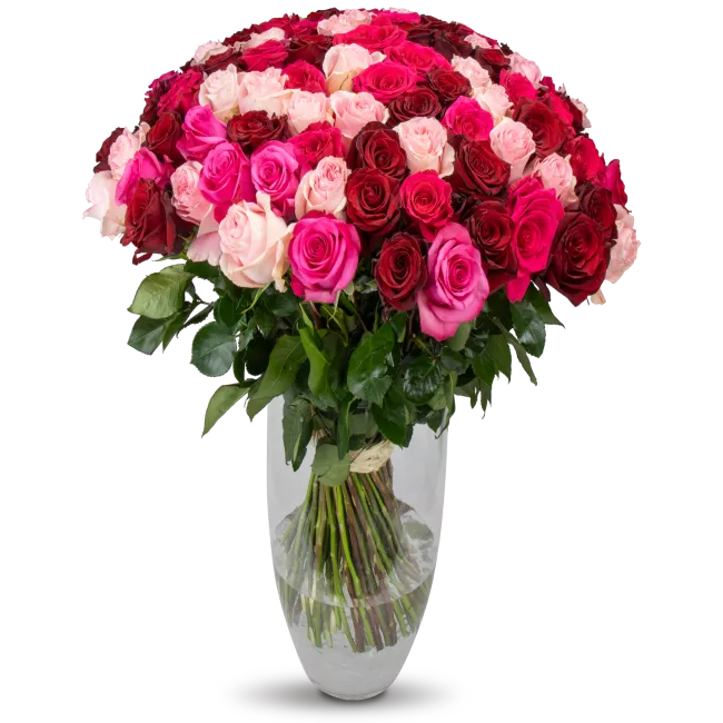 kytice ekvádorských růží 80 cm